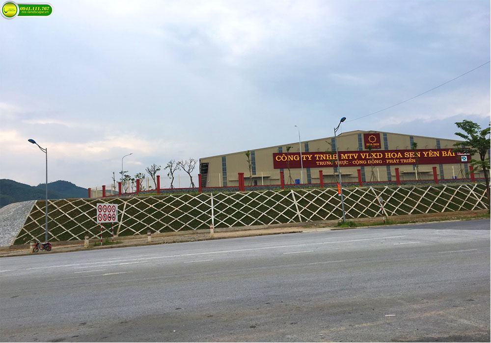 Thi công cảnh quan nhà máy 1 THI CONG TRONG CAY NHA MAY 12