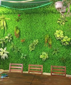 Thi công tường rêu nội thất 11 tuong reu noi that 004