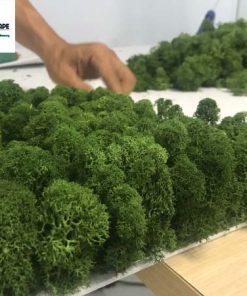 Thi công tường rêu nội thất 13 tuong reu noi that 006